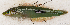  ( - S0059_007)  @11 [ ] CreativeCommons - Attribution Non-Commercial Share-Alike (2018) Henitsoa Jaonalison IH.SM, Toliara, Madagascar