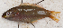  ( - S0068_002)  @11 [ ] CreativeCommons - Attribution Non-Commercial Share-Alike (2018) Henitsoa Jaonalison IH.SM, Toliara, Madagascar