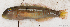  ( - S0068_003)  @11 [ ] CreativeCommons - Attribution Non-Commercial Share-Alike (2018) Henitsoa Jaonalison IH.SM, Toliara, Madagascar