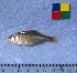  ( - IFCZE0076)  @14 [ ] Unspecified (default): All Rights Reserved  Unspecified Unspecified
