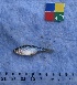  ( - IFCZE0633)  @13 [ ] Unspecified (default): All Rights Reserved  Unspecified Unspecified