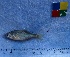  ( - IFCZE0719)  @13 [ ] Unspecified (default): All Rights Reserved  Unspecified Unspecified