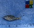  ( - IFCZE0720)  @13 [ ] Unspecified (default): All Rights Reserved  Unspecified Unspecified