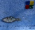  ( - IFCZE0721)  @13 [ ] Unspecified (default): All Rights Reserved  Unspecified Unspecified