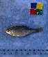  ( - IFCZE0884)  @13 [ ] Unspecified (default): All Rights Reserved  Unspecified Unspecified