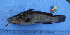  ( - IFCZE1051)  @14 [ ] Unspecified (default): All Rights Reserved  Unspecified Unspecified