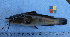  ( - IFCZE1052)  @13 [ ] Unspecified (default): All Rights Reserved  Unspecified Unspecified