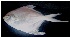  ( - APP1)  @12 [ ] Unspecified (default): All Rights Reserved  Unspecified Unspecified