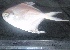  ( - APP2)  @13 [ ] Unspecified (default): All Rights Reserved  Unspecified Unspecified