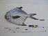  ( - RE01)  @14 [ ] Unspecified (default): All Rights Reserved  Unspecified Unspecified