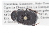  (Ontherus - IAvH-E-161198)  @14 [ ] CreativeCommons - Attribution Non-Commercial (2015) Instituto Humboldt IAvH Instituto de Investigacion de Recursos Biologicos Alexander von Humboldt