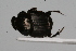  ( - IAvH-E-139603)  @11 [ ] CreativeCommons - Attribution Non-Commercial (2015) Instituto Humboldt IAvH Instituto de Investigacion de Recursos Biologicos Alexander von Humboldt