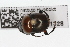  ( - IAvH-E-161316)  @13 [ ] CreativeCommons - Attribution Non-Commercial (2015) Instituto Humboldt IAvH Instituto de Investigacion de Recursos Biologicos Alexander von Humboldt