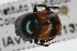  ( - IAvH-E-161318)  @11 [ ] CreativeCommons - Attribution Non-Commercial (2015) Instituto Humboldt IAvH Instituto de Investigacion de Recursos Biologicos Alexander von Humboldt