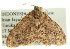  ( - CCDB-19573-C10)  @13 [ ] CreativeCommons - Attribution (2012) CBG Photography Group Centre for Biodiversity Genomics