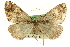  ( - CCDB-19573-D12)  @13 [ ] CreativeCommons - Attribution (2012) CBG Photography Group Centre for Biodiversity Genomics