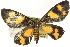  ( - CCDB-19573-E04)  @12 [ ] CreativeCommons - Attribution (2012) CBG Photography Group Centre for Biodiversity Genomics