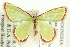  ( - CCDB-19573-G06)  @13 [ ] CreativeCommons - Attribution (2012) CBG Photography Group Centre for Biodiversity Genomics