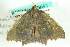  ( - CCDB-19573-G12)  @13 [ ] CreativeCommons - Attribution (2012) CBG Photography Group Centre for Biodiversity Genomics