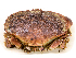  ( - ILVO135)  @11 [ ] CC BY-NC-ND 4.0 (2018) Hans Hillewaert Flanders Research Institute for agriculture, fisheries and food