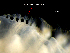 ( - ILVO281)  @11 [ ] CC BY-NC-ND 4.0 (2019) Hans Hillewaert Flanders Research Institute for agriculture, fisheries and food