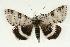  ( - HLC-16970)  @14 [ ] Unspecified (default): All Rights Reserved  Unspecified Unspecified