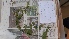  ( - AAC6204)  @11 [ ] CreativeCommons - Attribution (2018) AA Cocucci IMBIV