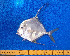 ( - CFRCO916)  @11 [ ] copyright © (2025) Nicolas Roland OWO University Nangui Abrogoua