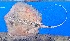  ( - CJV9-17)  @11 [ ] copyright © (2024) OWO Nicolas Roland Université Nangui ABROGOUA