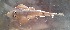  ( - CJV9-20)  @11 [ ] copyright © (2024) OWO Nicolas Roland Université Nangui ABROGOUA