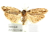  ( - IM09-0232)  @14 [ ] CreativeCommons - Attribution (2011) CBG Photography Group Centre for Biodiversity Genomics