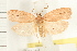 ( - IM07-0444)  @15 [ ] CreativeCommons - Attribution (2008) Unspecified Centre for Biodiversity Genomics