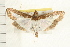  ( - IM08-0763)  @13 [ ] CreativeCommons - Attribution (2008) Unspecified Centre for Biodiversity Genomics