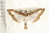  ( - IM08-0781)  @13 [ ] CreativeCommons - Attribution (2008) Unspecified Centre for Biodiversity Genomics