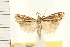  ( - IM08-0793)  @13 [ ] CreativeCommons - Attribution (2008) Unspecified Centre for Biodiversity Genomics