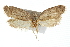  ( - IM08-2401)  @13 [ ] CreativeCommons - Attribution (2011) CBG Photography Group Centre for Biodiversity Genomics