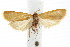 ( - IM08-2552)  @13 [ ] CreativeCommons - Attribution (2011) CBG Photography Group Centre for Biodiversity Genomics