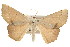  ( - IM08-2577)  @14 [ ] CreativeCommons - Attribution (2011) CBG Photography Group Centre for Biodiversity Genomics