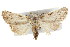  ( - IM08-2714)  @14 [ ] CreativeCommons - Attribution (2011) CBG Photography Group Centre for Biodiversity Genomics