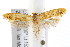  ( - IM08-2898)  @13 [ ] CreativeCommons - Attribution (2011) CBG Photography Group Centre for Biodiversity Genomics