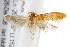  ( - IM08-2913)  @12 [ ] CreativeCommons - Attribution (2011) CBG Photography Group Centre for Biodiversity Genomics