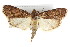  ( - IM08-2929)  @13 [ ] CreativeCommons - Attribution (2011) CBG Photography Group Centre for Biodiversity Genomics