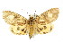  ( - IM08-0129)  @14 [ ] CreativeCommons - Attribution (2011) CBG Photography Group Centre for Biodiversity Genomics