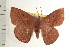  ( - IM08-0866)  @13 [ ] CreativeCommons - Attribution (2008) Unspecified Centre for Biodiversity Genomics