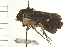 ( - IM08-1010)  @12 [ ] CreativeCommons - Attribution (2008) Unspecified Centre for Biodiversity Genomics
