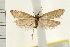  ( - IM08-1551)  @13 [ ] CreativeCommons - Attribution (2008) Unspecified Centre for Biodiversity Genomics