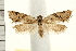  ( - IM08-1552)  @13 [ ] CreativeCommons - Attribution (2008) Unspecified Centre for Biodiversity Genomics