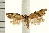  ( - IM08-1555)  @11 [ ] CreativeCommons - Attribution (2008) Unspecified Centre for Biodiversity Genomics