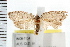  ( - IM08-1134)  @13 [ ] CreativeCommons - Attribution (2008) Unspecified Centre for Biodiversity Genomics