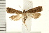  ( - IM08-1610)  @13 [ ] CreativeCommons - Attribution (2008) Unspecified Centre for Biodiversity Genomics
